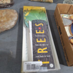 Tree identification kit with leaf sample